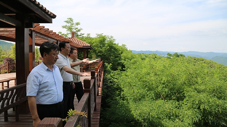 202106251624590703103534.jpg 7.jpg