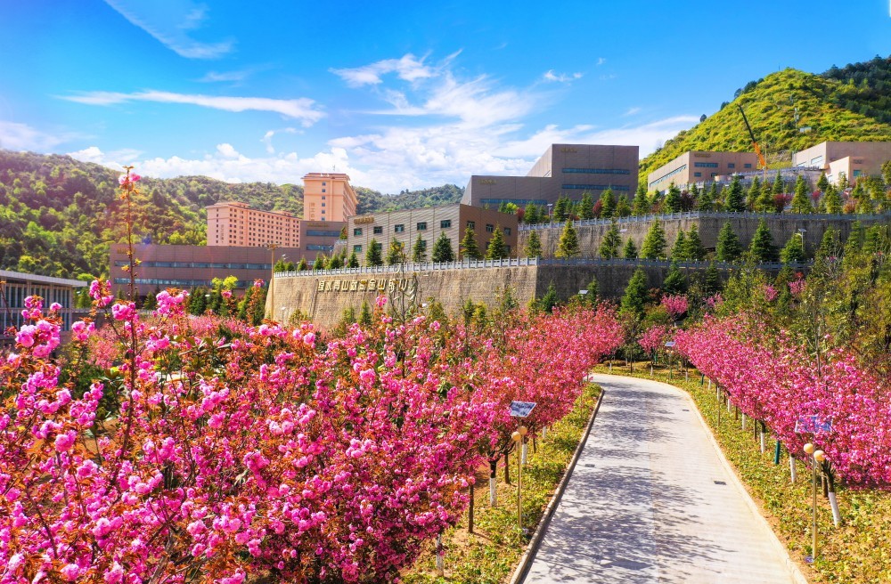 202402021706857367881327.jpg 1.jpg